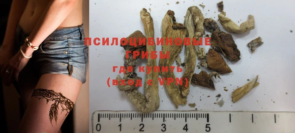 МДПВ Кодинск