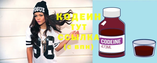 МДПВ Кодинск